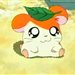 Hamtaro1000
