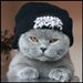 miska1234