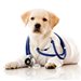 veterinary
