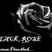 BlackRose73