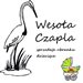 Wesola_Czapla