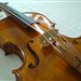 Violin84