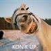 KONIK_UP