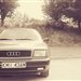 smilodon1985