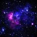 monia_star1