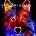 seriale-nowe
