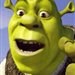 SHREK48