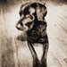 blader1998